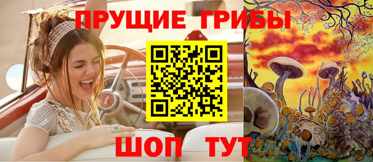 Галлюциногенные грибы Magic Shrooms Черногорск
