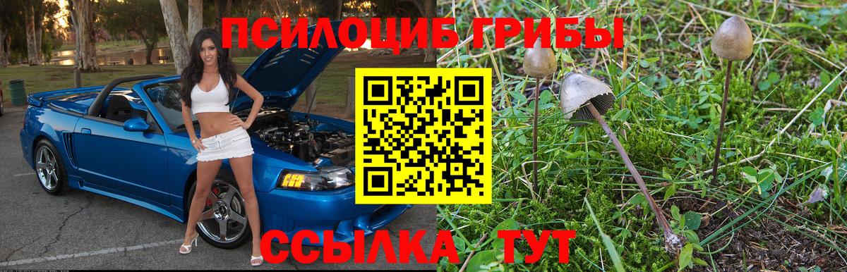 Псилоцибиновые грибы прущие грибы  Вход с VPN  Черногорск 